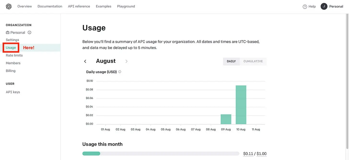 OpenAI API website — Usage (Image by authors)